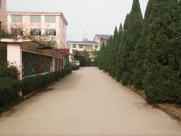 校园风采